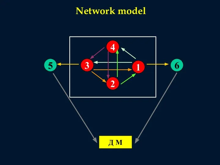 4 2 1 3 5 6 Д М Network model