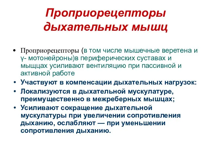 Проприорецепторы дыхательных мышц Проприорецепторы (в том числе мышечные веретена и γ-