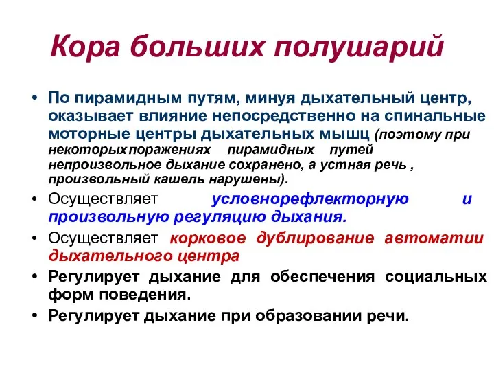 Кора больших полушарий По пирамидным путям, минуя дыхательный центр, оказывает влияние