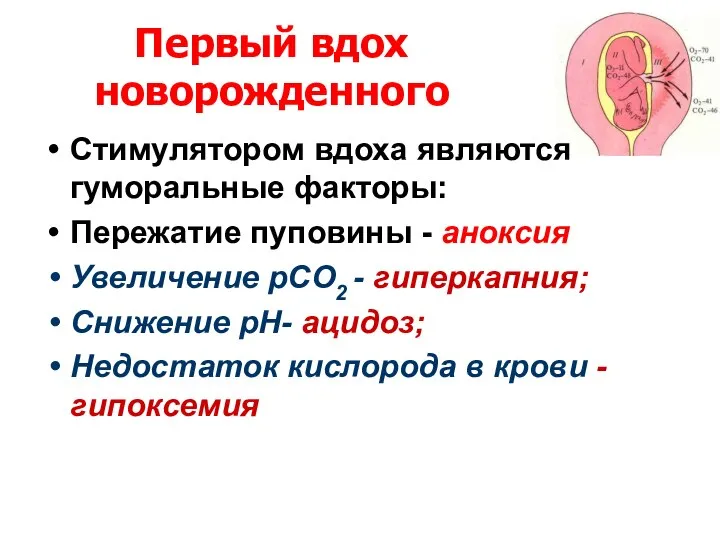 Первый вдох новорожденного Стимулятором вдоха являются гуморальные факторы: Пережатие пуповины -