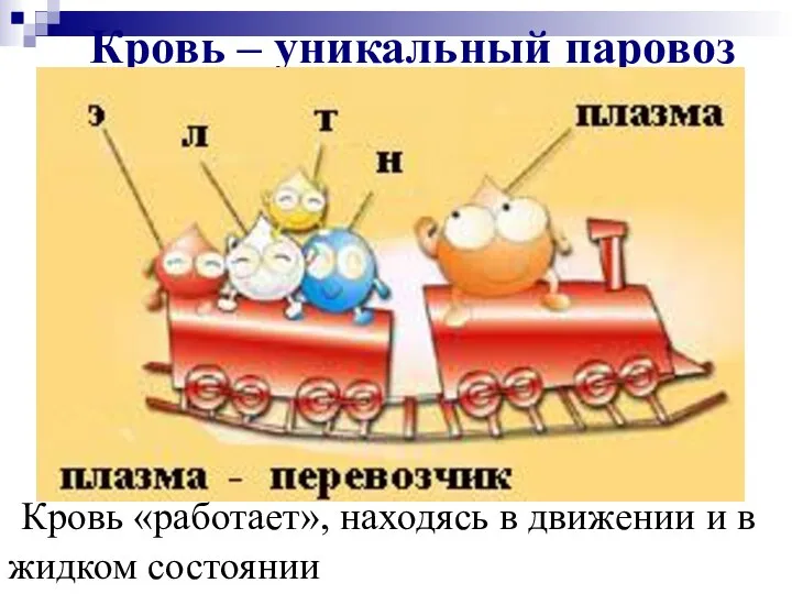 Кровь – уникальный паровоз Кровь «работает», находясь в движении и в жидком состоянии