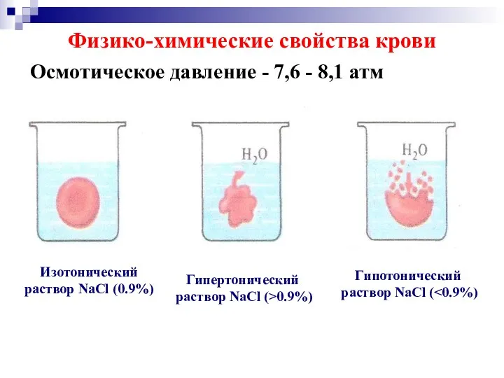 Физико-химические свойства крови Осмотическое давление - 7,6 - 8,1 атм Гипотонический