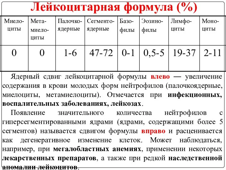 Лейкоцитарная формула (%) Ядерный сдвиг лейкоцитарной формулы влево — увеличение содержания