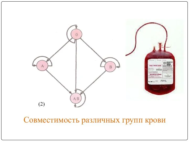 Совместимость различных групп крови