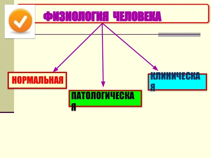 НОРМАЛЬНАЯ ПАТОЛОГИЧЕСКАЯ КЛИНИЧЕСКАЯ ФИЗИОЛОГИЯ ЧЕЛОВЕКА