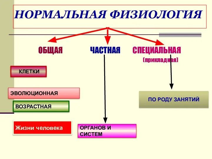 НОРМАЛЬНАЯ ФИЗИОЛОГИЯ ОБЩАЯ ЧАСТНАЯ СПЕЦИАЛЬНАЯ (прикладная) КЛЕТКИ ЭВОЛЮЦИОННАЯ ВОЗРАСТНАЯ ОРГАНОВ И