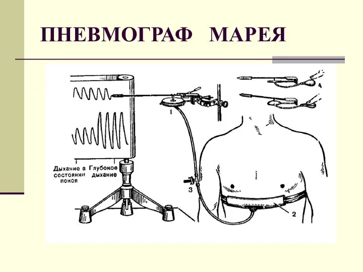 ПНЕВМОГРАФ МАРЕЯ