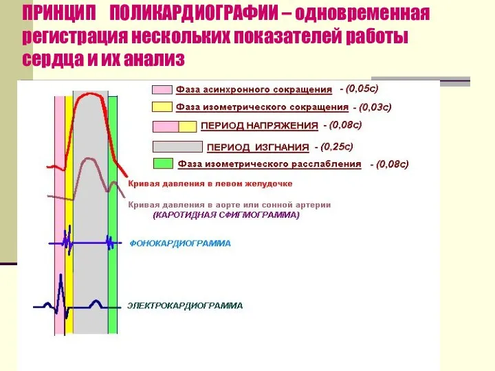 ПРИНЦИП ПОЛИКАРДИОГРАФИИ – одновременная регистрация нескольких показателей работы сердца и их анализ