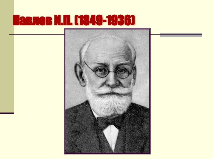Павлов И.П. (1849-1936)