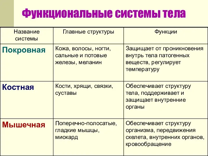 Функциональные системы тела