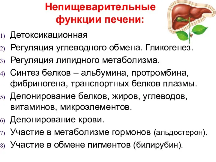 Непищеварительные функции печени: Детоксикационная Регуляция углеводного обмена. Гликогенез. Регуляция липидного метаболизма.