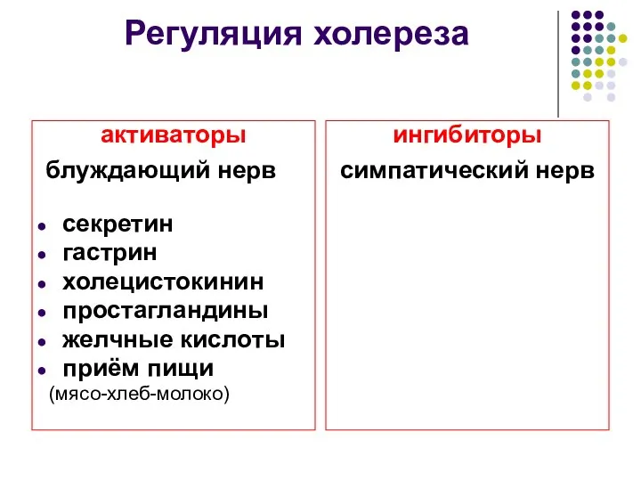 Регуляция холереза активаторы блуждающий нерв секретин гастрин холецистокинин простагландины желчные кислоты