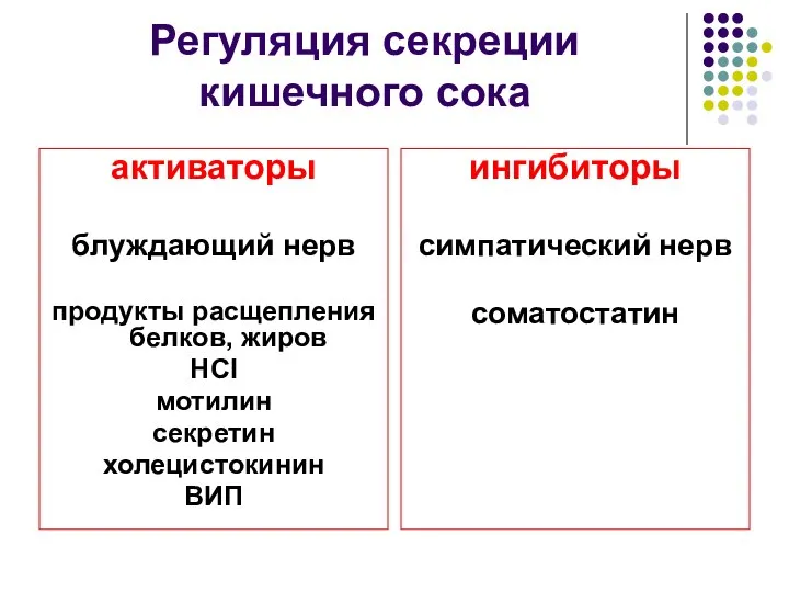 Регуляция секреции кишечного сока активаторы блуждающий нерв продукты расщепления белков, жиров