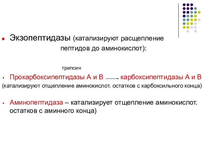 Экзопептидазы (катализируют расщепление пептидов до аминокислот): трипсин Прокарбоксипептидазы А и В