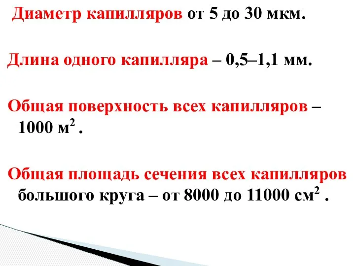 Диаметр капилляров от 5 до 30 мкм. Длина одного капилляра –