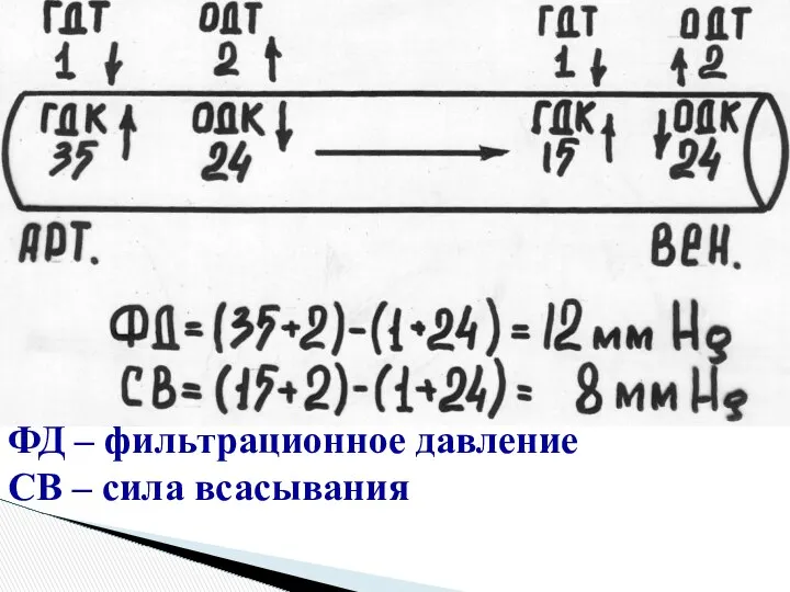 ФД – фильтрационное давление СВ – сила всасывания