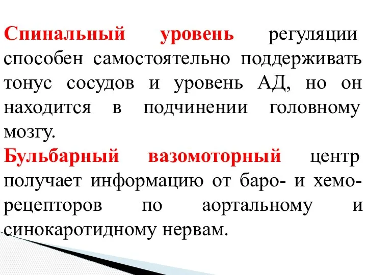 Спинальный уровень регуляции способен самостоятельно поддерживать тонус сосудов и уровень АД,