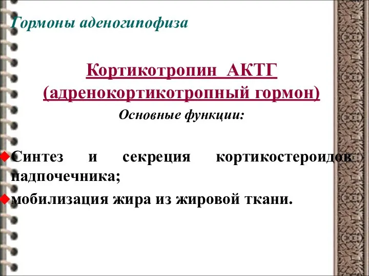 Гормоны аденогипофиза Кортикотропин АКТГ (адренокортикотропный гормон) Основные функции: Синтез и секреция