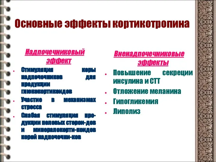 Основные эффекты кортикотропина Надпочечниковый эффект Стимуляция коры надпочечников для продукции глюкокортикоидов