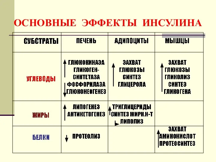 ОСНОВНЫЕ ЭФФЕКТЫ ИНСУЛИНА