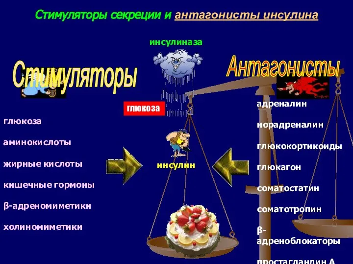 Стимуляторы секреции и антагонисты инсулина инсулин глюкоза глюкоза аминокислоты жирные кислоты