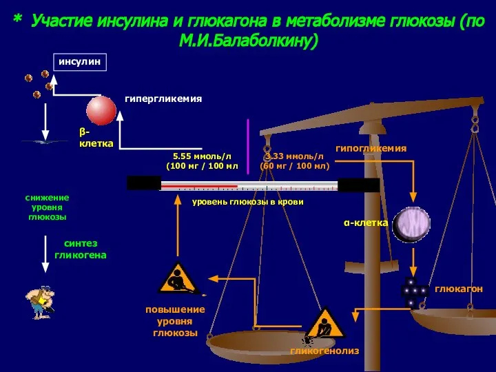 * Участие инсулина и глюкагона в метаболизме глюкозы (по М.И.Балаболкину) 5.55