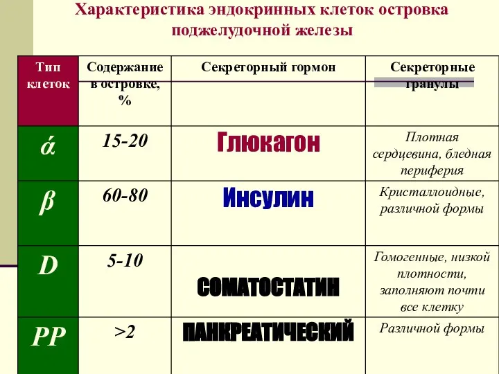 Характеристика эндокринных клеток островка поджелудочной железы