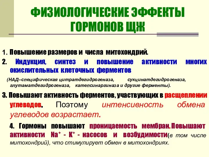 ФИЗИОЛОГИЧЕСКИЕ ЭФФЕКТЫ ГОРМОНОВ ЩЖ 1. Повышение размеров и числа митохондрий. 2.