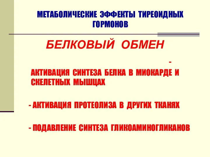 МЕТАБОЛИЧЕСКИЕ ЭФФЕКТЫ ТИРЕОИДНЫХ ГОРМОНОВ БЕЛКОВЫЙ ОБМЕН - АКТИВАЦИЯ СИНТЕЗА БЕЛКА В