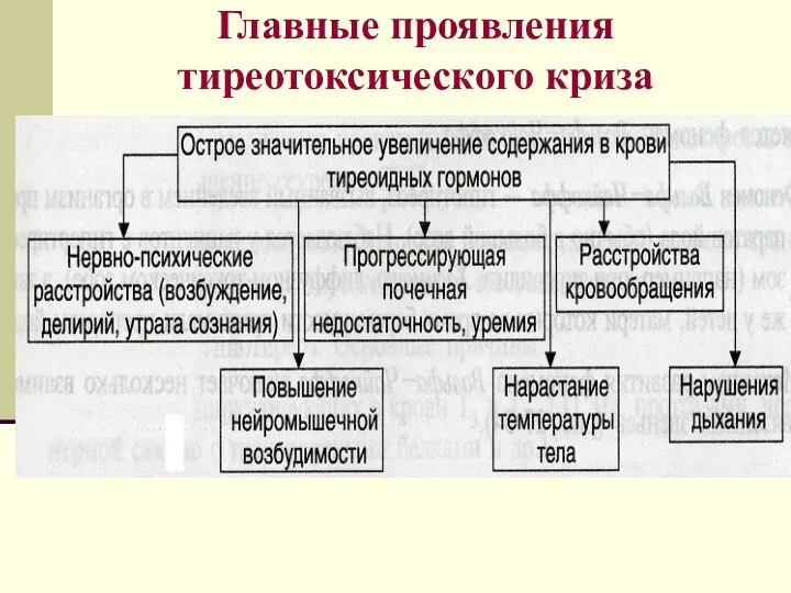 Главные проявления тиреотоксического криза