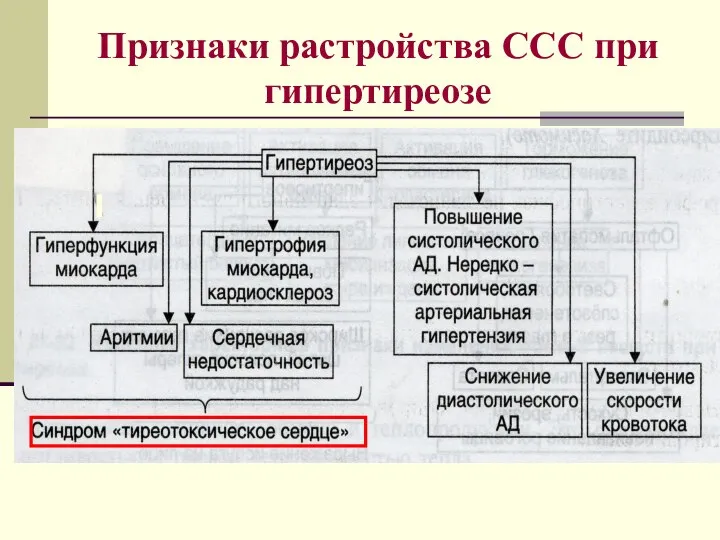 Признаки растройства ССС при гипертиреозе