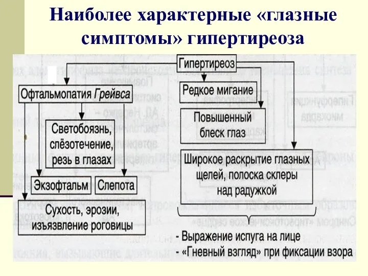 Наиболее характерные «глазные симптомы» гипертиреоза