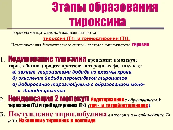 Этапы образования тироксина Гормонами щитовидной железы являются : тироксин (Т4) и