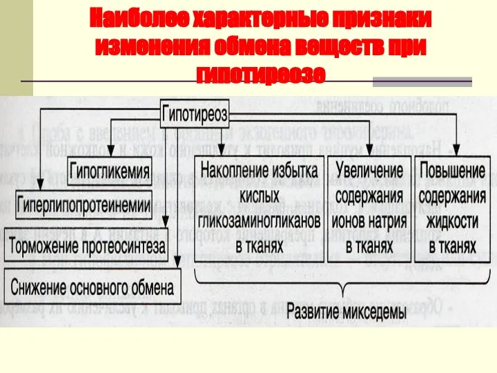 Наиболее характерные признаки изменения обмена веществ при гипотиреозе