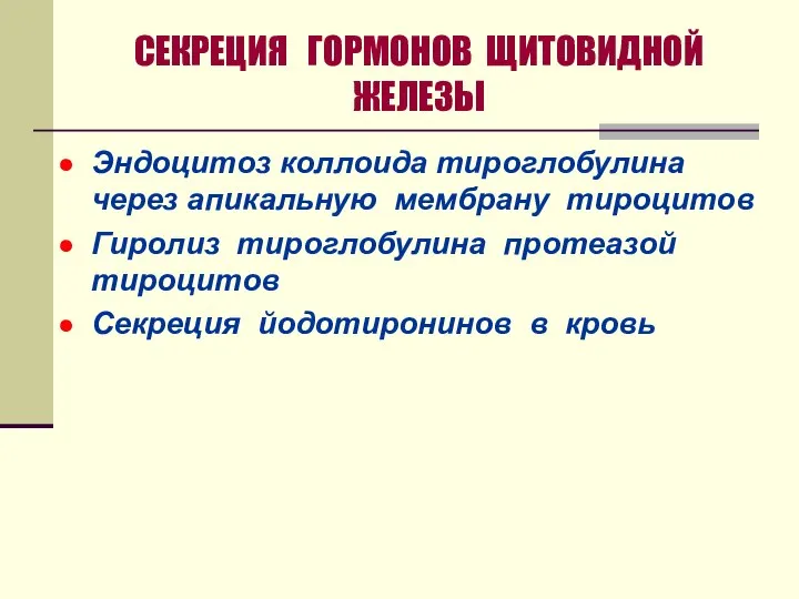 СЕКРЕЦИЯ ГОРМОНОВ ЩИТОВИДНОЙ ЖЕЛЕЗЫ Эндоцитоз коллоида тироглобулина через апикальную мембрану тироцитов