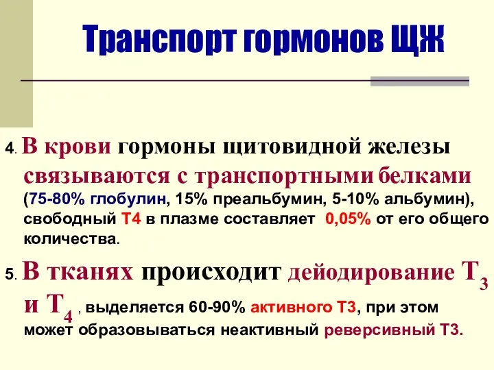 Транспорт гормонов ЩЖ 4. В крови гормоны щитовидной железы связываются с