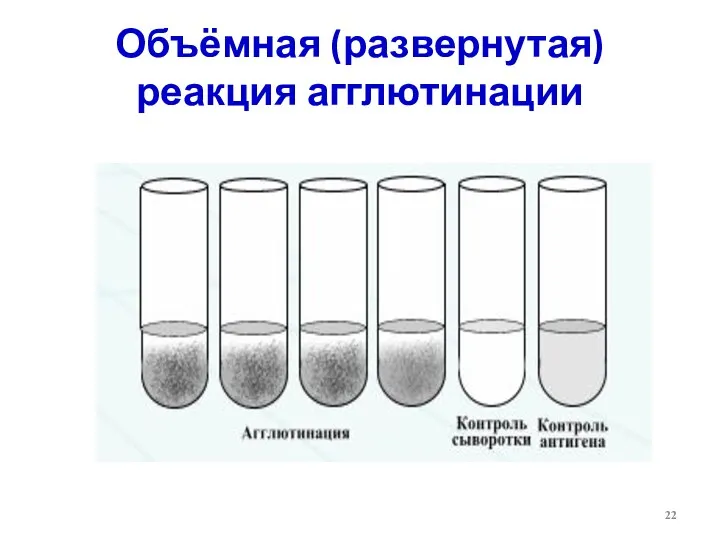 Объёмная (развернутая) реакция агглютинации