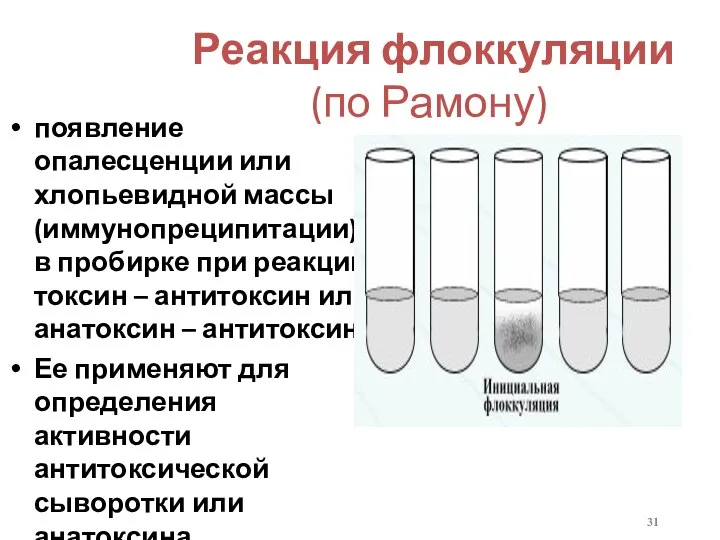 Реакция флоккуляции (по Рамону) появление опалесценции или хлопьевидной массы (иммунопреципитации) в