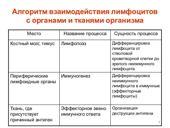 Алгоритм взаимодействия лимфоцитов с органами и тканями организма