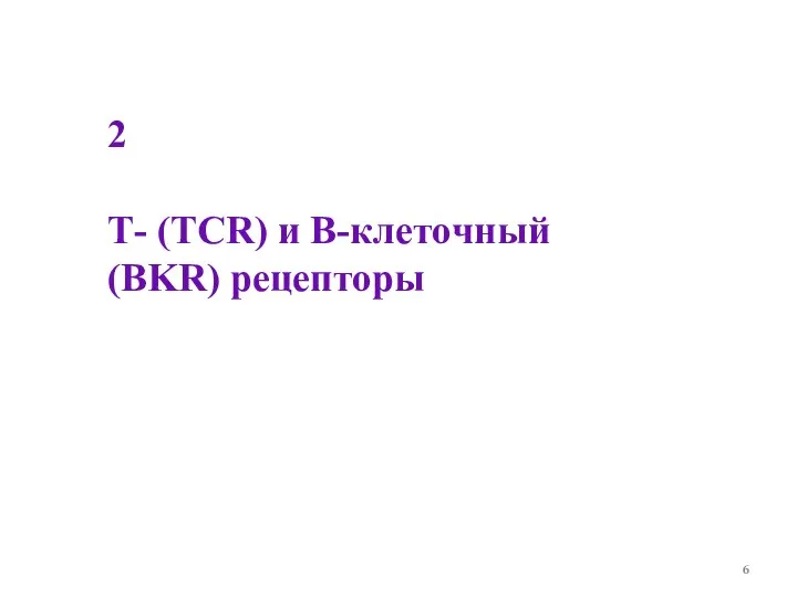 2 Т- (ТCR) и В-клеточный (BKR) рецепторы