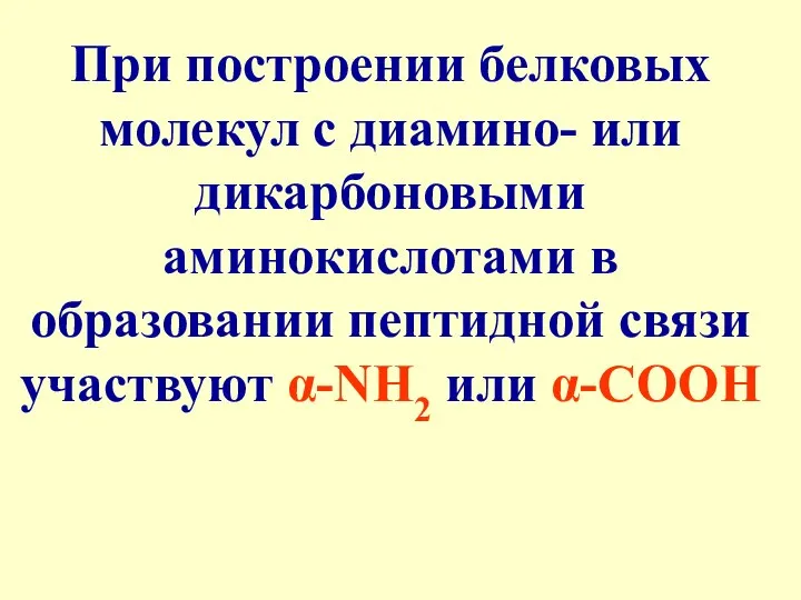 При построении белковых молекул с диамино- или дикарбоновыми аминокислотами в образовании