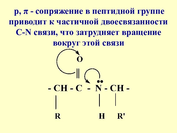 p, π - сопряжение в пептидной группе приводит к частичной двоесвязанности