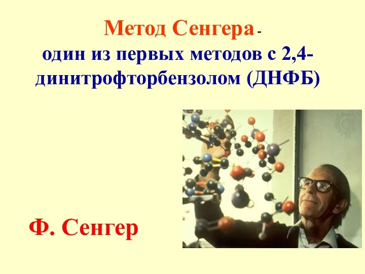 Метод Сенгера - один из первых методов с 2,4-динитро­фторбензолом (ДНФБ) Ф. Сенгер