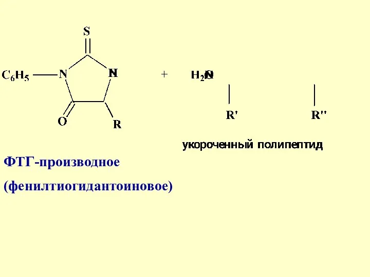 ФТГ-производное (фенилтиогидантоиновое)