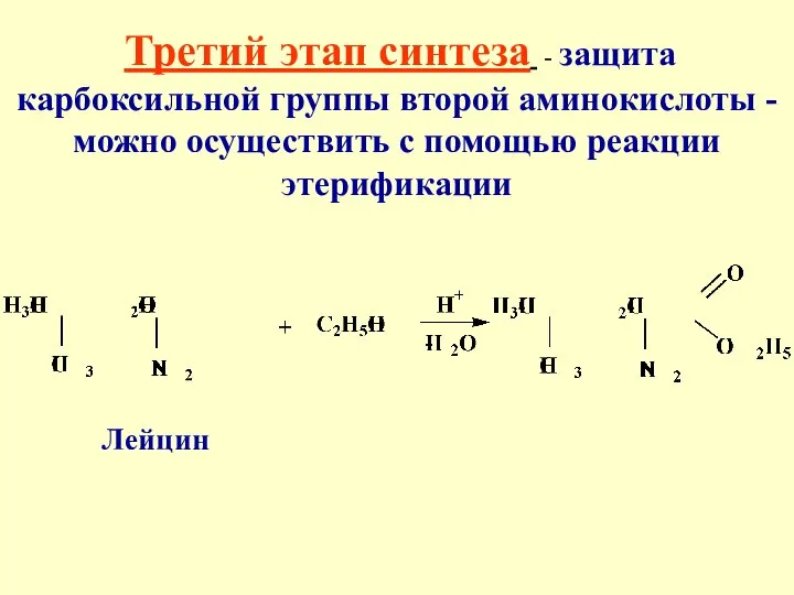 Третий этап синтеза - защита карбоксильной группы второй аминокислоты -можно осуществить с помощью реакции этерификации Лейцин