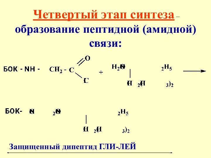 Четвертый этап синтеза – образование пептидной (амидной) связи: Защищенный дипептид ГЛИ-ЛЕЙ