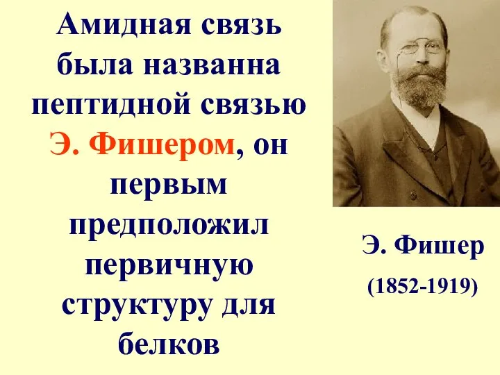 Амидная связь была названна пептидной связью Э. Фишером, он первым предположил