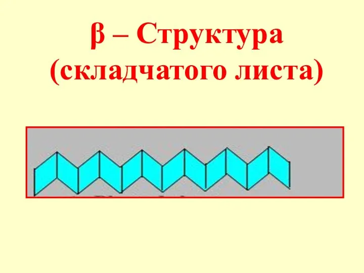 β – Структура (складчатого листа)