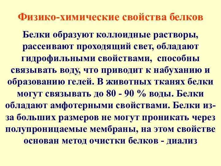 Физико-химические свойства белков Белки образуют коллоидные растворы, рассеивают проходящий свет, обладают