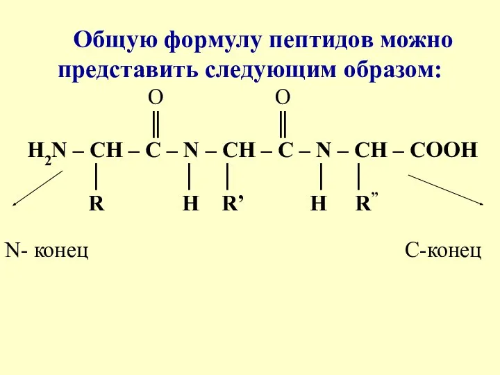 Общую формулу пептидов можно представить следующим образом: O O ║ ║